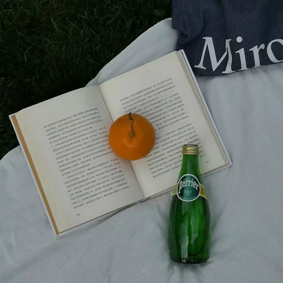 欢迎使用 Typecho