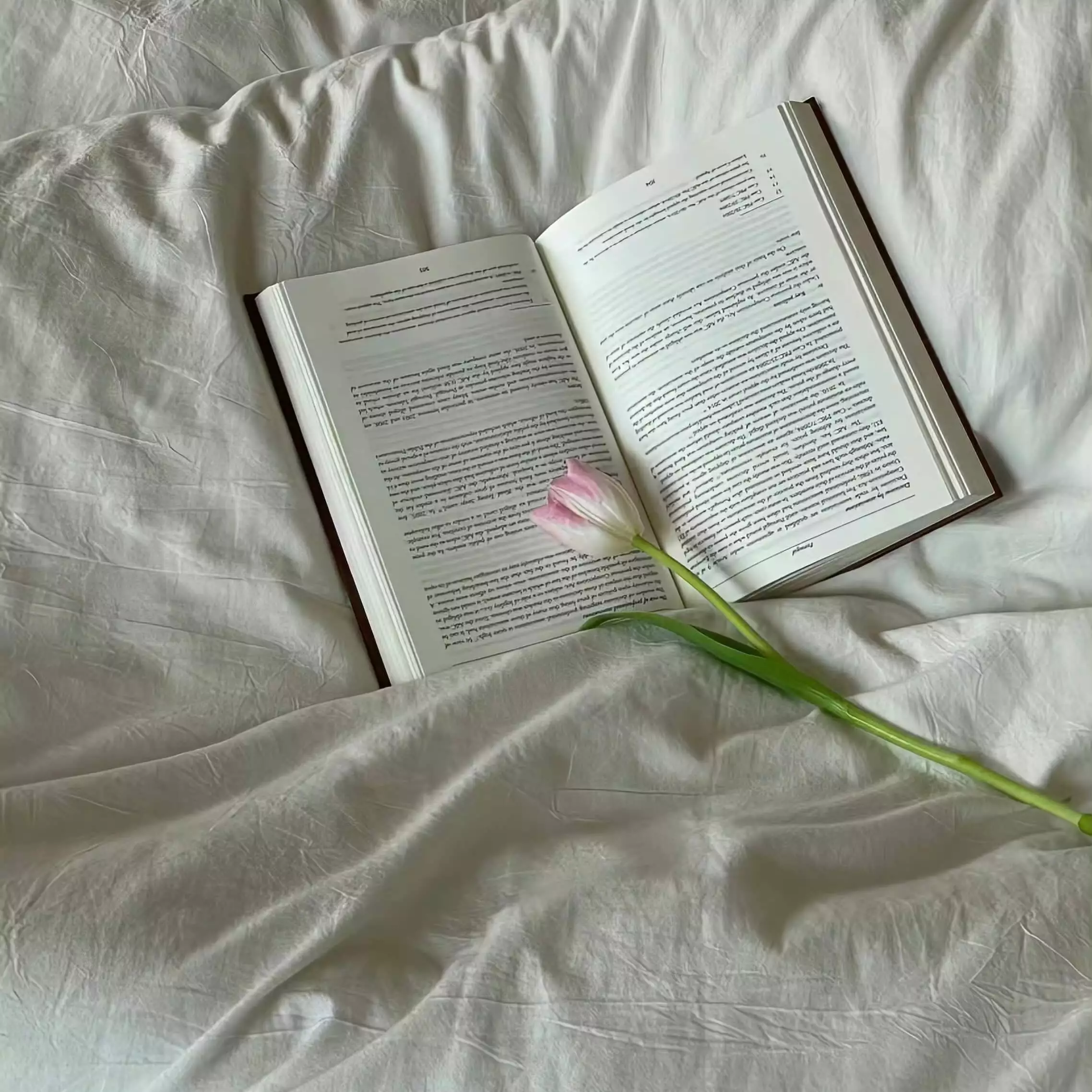 欢迎使用 Typecho